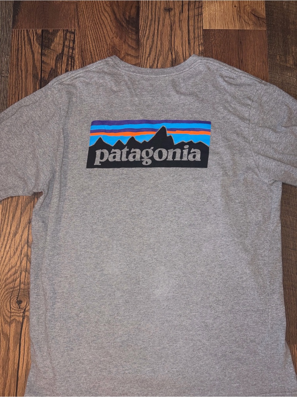 Patagonia Men’s Long-Sleeve T-shirt— Light Gray
